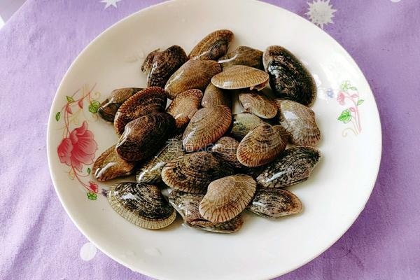 蛤蜊玉米番茄牛骨汤的做法图解11