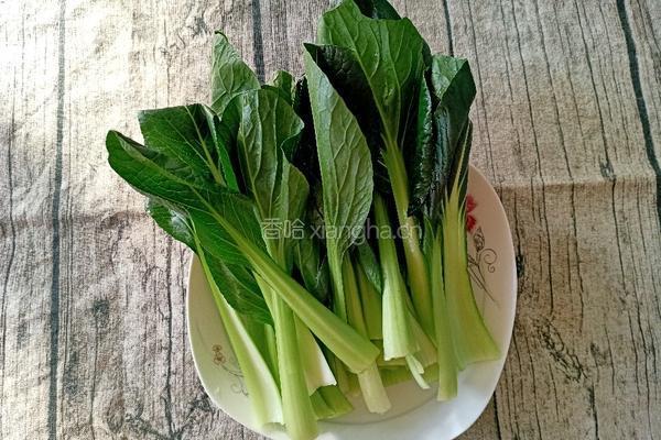 虾皮小油菜的做法图解2