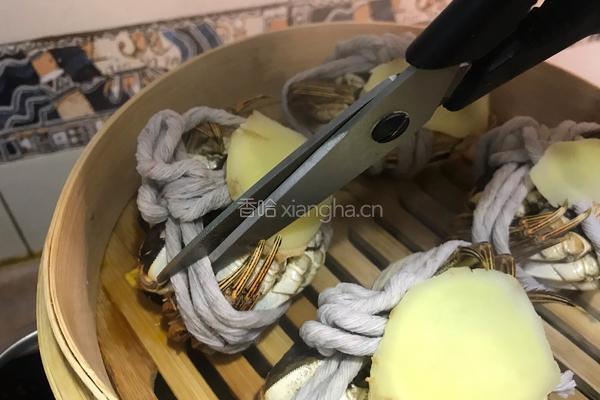 清蒸大闸蟹的做法图解9
