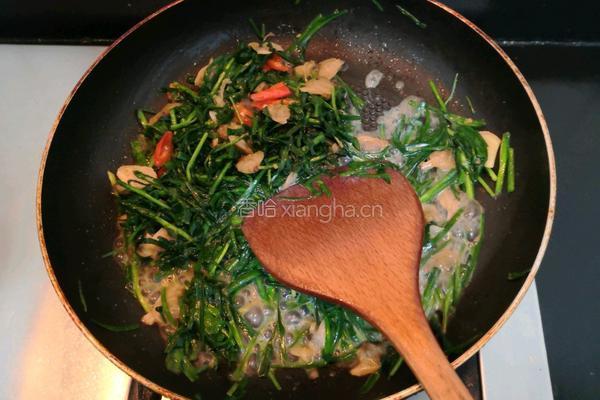花蛤肉炒韭菜的做法图解13