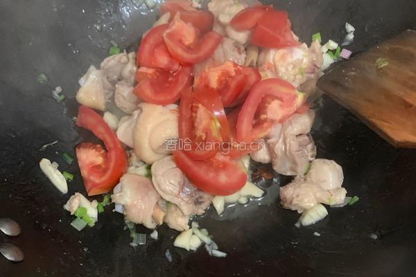 番茄鸡腿炖土豆的做法图解7