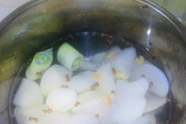 白萝卜牛肉丸汤的做法图解7
