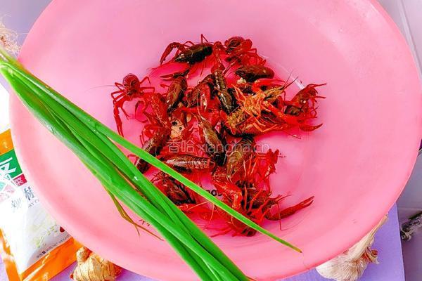 香辣小龙虾的做法图解2