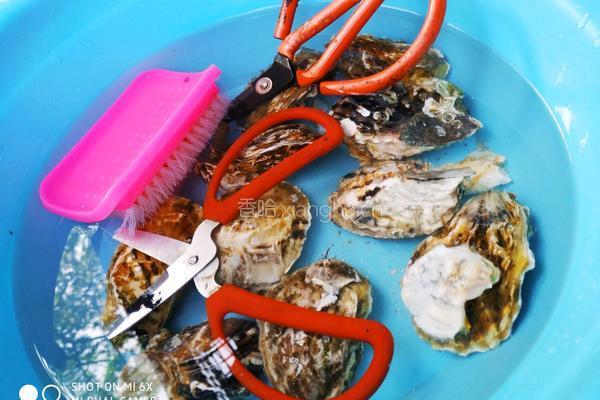 蒜蓉蒸生蚝的做法图解1