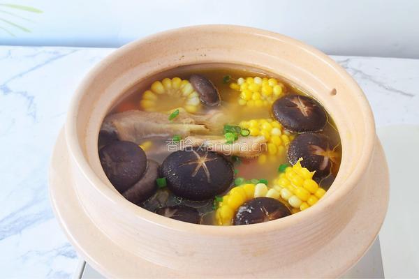 香菇玉米胡萝卜鸡汤的做法图解10