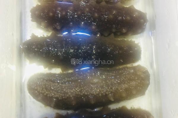 泡发海参的做法图解10