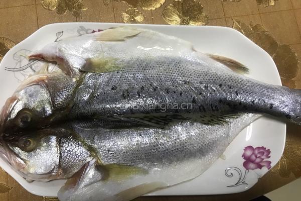 蒜香海鲈鱼的做法图解1