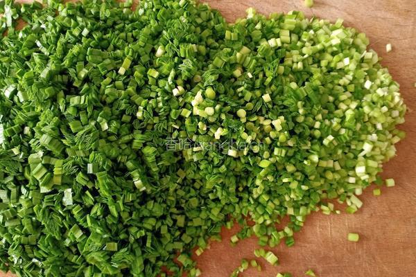 韭菜虾皮鸡蛋水饺的做法图解2