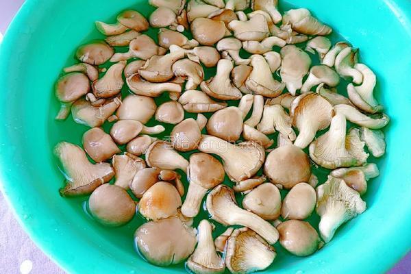 海鱼炒秀珍菇的做法图解4