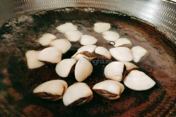 番茄炒白蛤的做法图解5