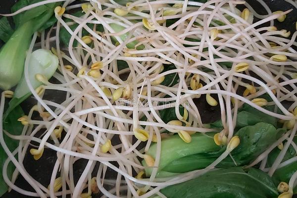 鸡蛋炒河粉的做法图解4