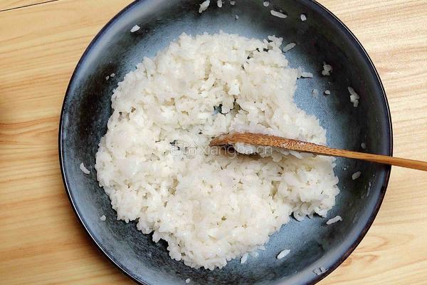 日式海苔金枪鱼饭团的做法图解3