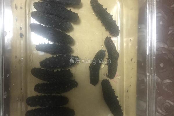 泡发海参的做法图解1