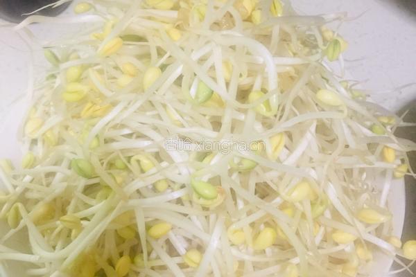 豆豉鲮鱼炒黄豆芽的做法图解1
