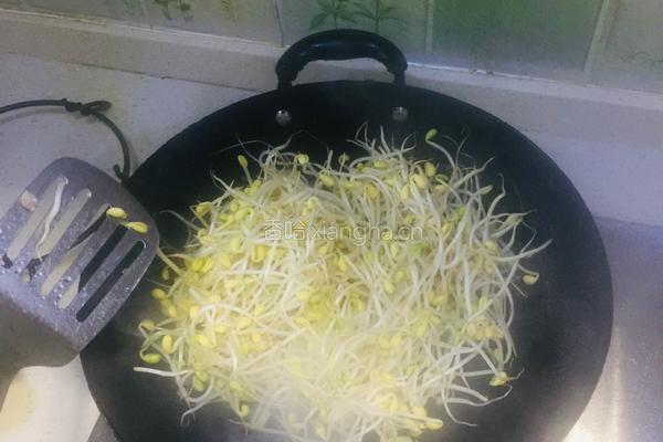 豆豉鲮鱼炒黄豆芽的做法图解3