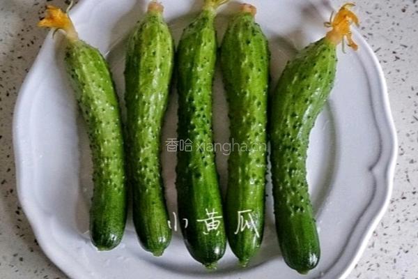 紫薯黄瓜番茄煎蛋三明治的做法图解3