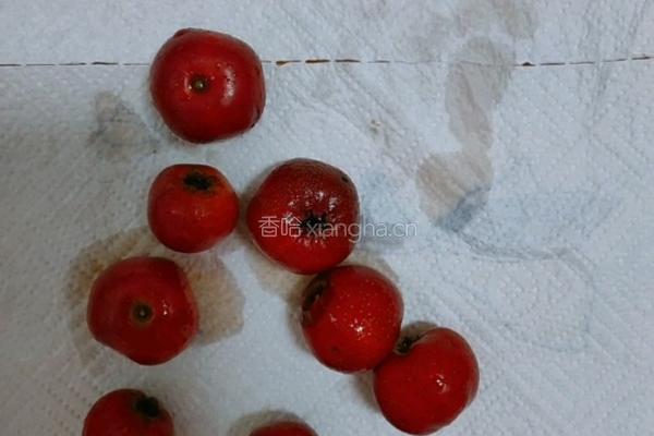 雪花山楂球的做法图解2
