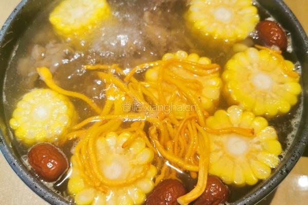 虫草花驴肉汤的做法图解5