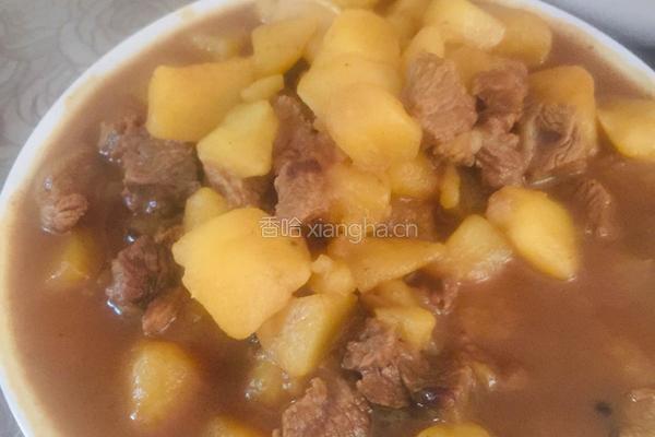 土豆烧牛腩的做法图解8