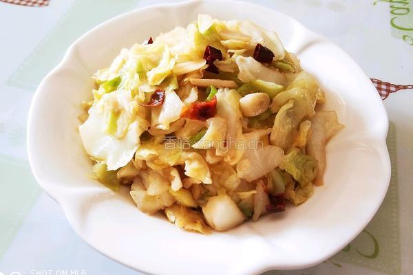 手撕包菜的做法图解10
