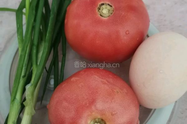 番茄鸡蛋面的做法图解1