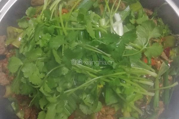 青菜牛肉干锅的做法图解5