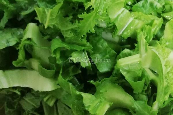 青菜牛肉干锅的做法图解3