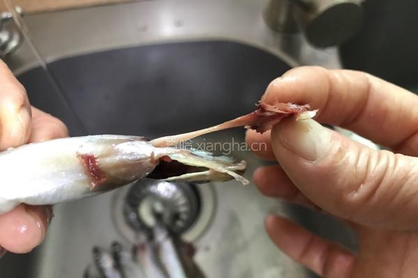 香煎多春鱼的做法图解3