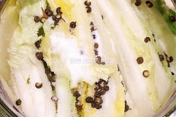 积东北酸菜的做法图解4