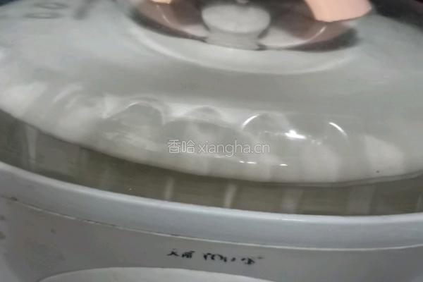 沙参玉竹鸡汤的做法图解4