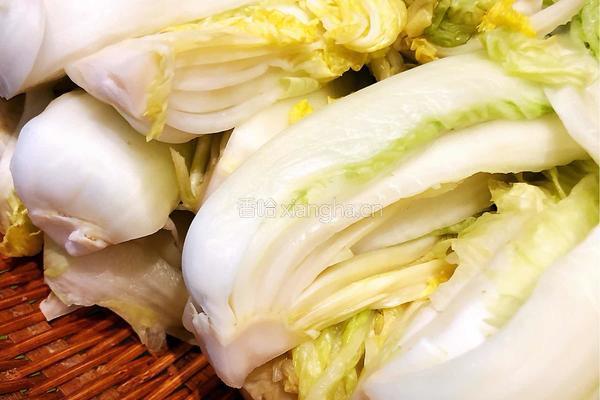 韩式辣白菜的做法图解13