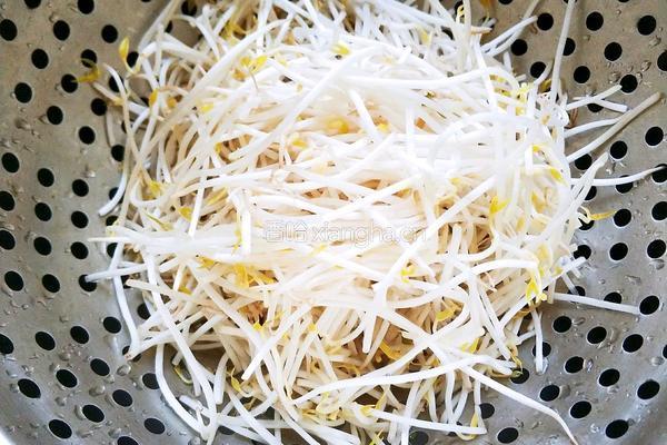 韭菜炒豆芽的做法图解2