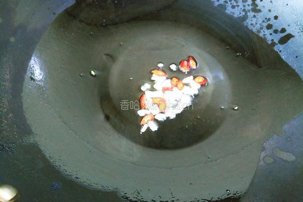 韭菜炒豆芽的做法图解4