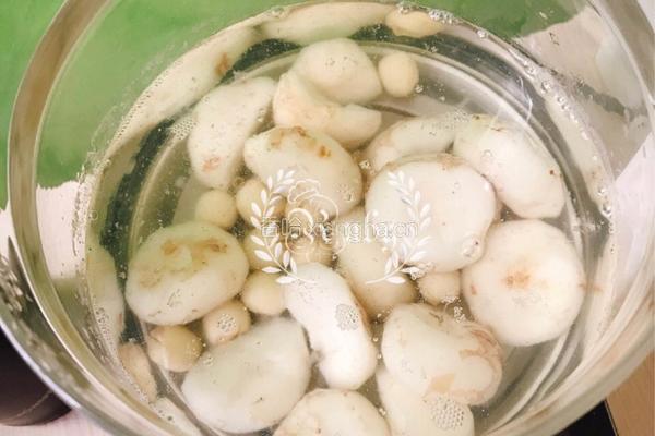 润肺解燥|莲子马蹄板栗糖水的做法图解5