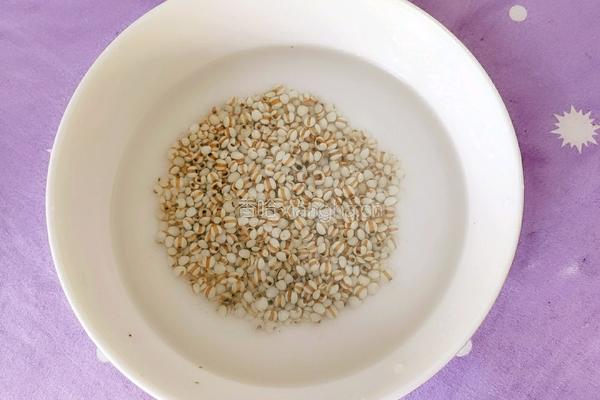 薏米虫草花椰汁牛骨汤的做法图解3