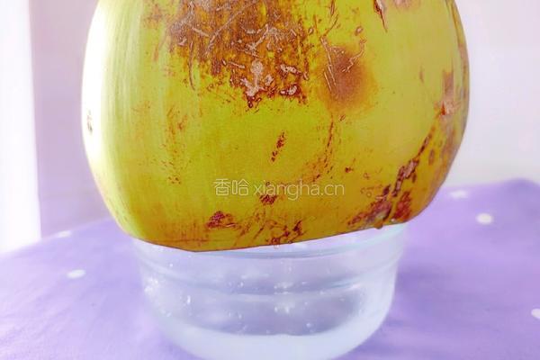薏米虫草花椰汁牛骨汤的做法图解17