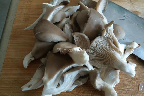 双菇番茄豆腐汤的做法图解5