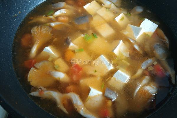 双菇番茄豆腐汤的做法图解11