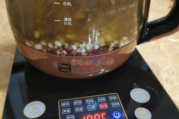红枣红豆薏米汤的做法图解9