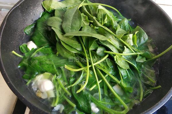 菠菜丸子粉丝汤的做法图解8