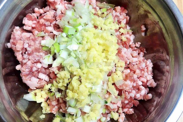 萝卜肉丸汤的做法图解5