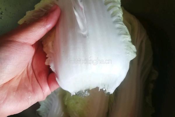 白菜肉卷的做法图解4