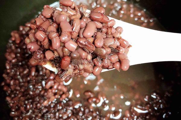 红豆牛奶汤（调经补血）的做法图解6