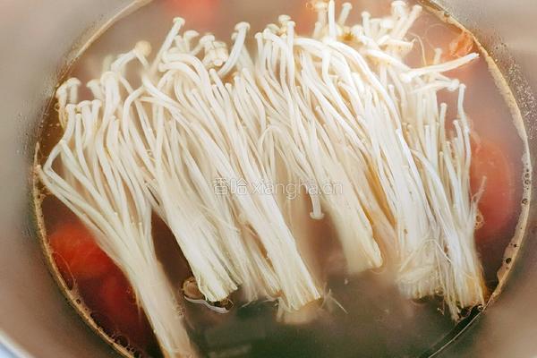金针菇番茄椰汁牛骨汤的做法图解10