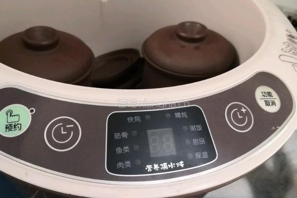 石斛灵芝汤的做法图解4