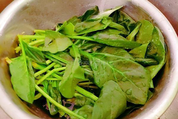 菠菜胡萝卜海带汤的做法图解4