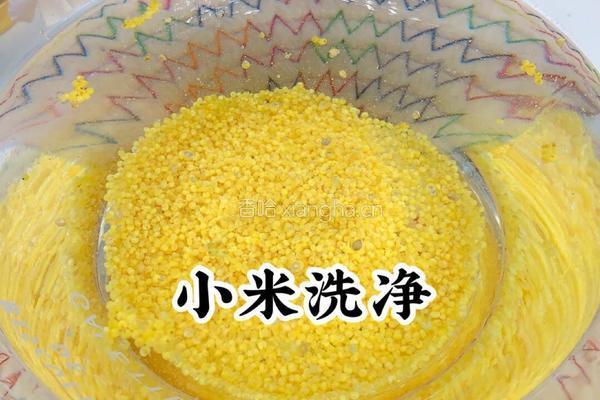 香蕉小米糊的做法图解3