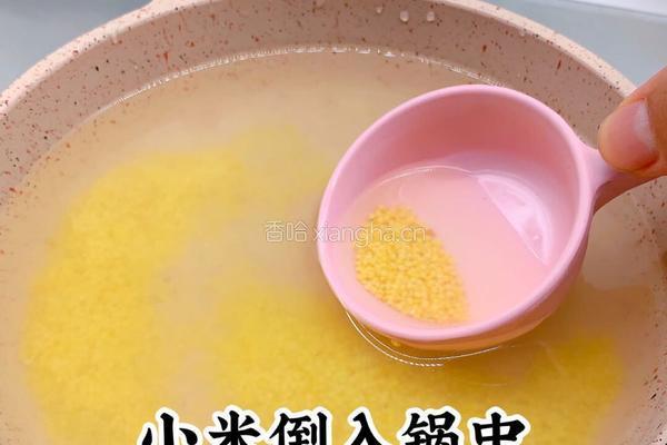 香蕉小米糊的做法图解4