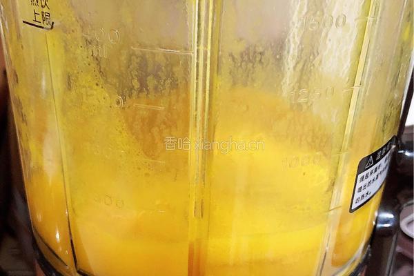 龙眼小米南瓜汤（补气血）的做法图解9