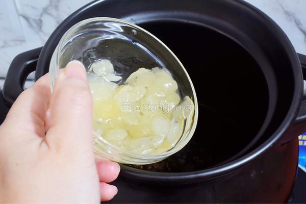桃胶皂角米炖牛奶的做法图解5